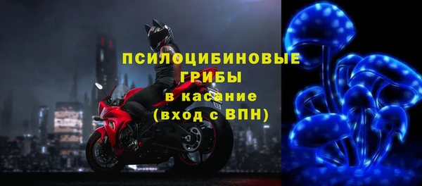 эйфоретик Балахна