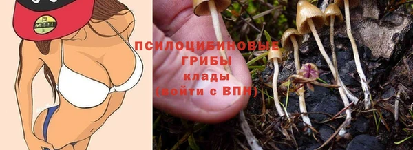 эйфоретик Балахна