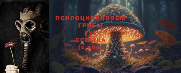 эйфоретик Балахна