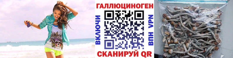 Галлюциногенные грибы MAGIC MUSHROOMS  Каневская 